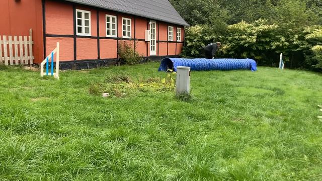 One’s første “agility træning” смотреть онлайн