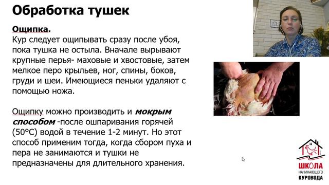 Как забить куру.  Правильный убой кур. урок15 Школа начинающего куровода.