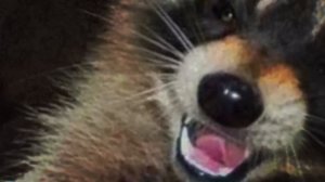 Заточка — Санта (OFFICIAL LYRIC VIDEO)