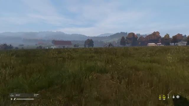 Dayz PS4