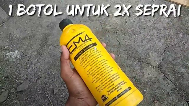 Penggunaan em4 untuk budidaya bawang merah agar tanaman sehat tanah subur смотреть онлайн