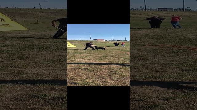 "МОИ ДОБЕРМАНЫ". МОЛОДЕНЬКУЮ ЛЮСЮ УЧИМ БЫСТРЕЕ ОТПУСКАТЬ ФИГУРАНТА | КОМАНДА "ДАЙ!" смотреть онлайн