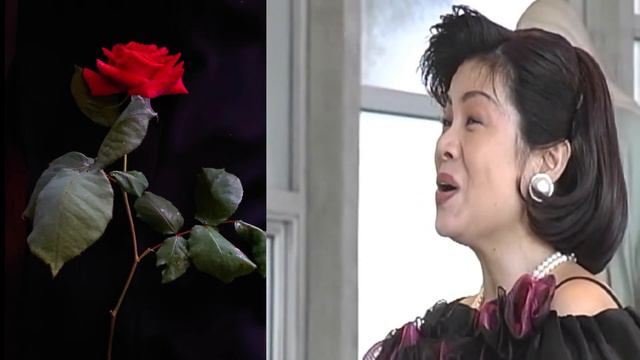 「IL LIBRO SANTO MELODIA（聖書）」 CARMELO ERRICO作詞・ CIRO PINSUTI作曲 смотреть онлайн