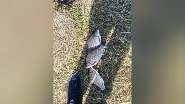 Рыбак 48 начало 🤗