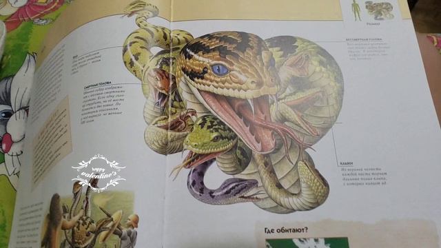 Ужасы! 1 часть!😈