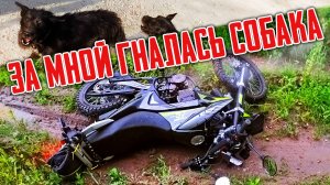 Поехал по неизвестным грунтовкам и не повезло с собаками. Упал.