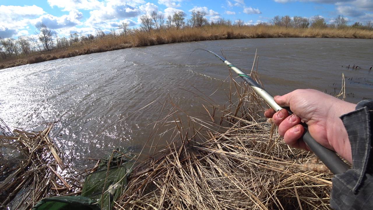 Караси-Лапти на поплавок. Этот залив забит рыбой. Рыбалка на Волге смотреть онлайн