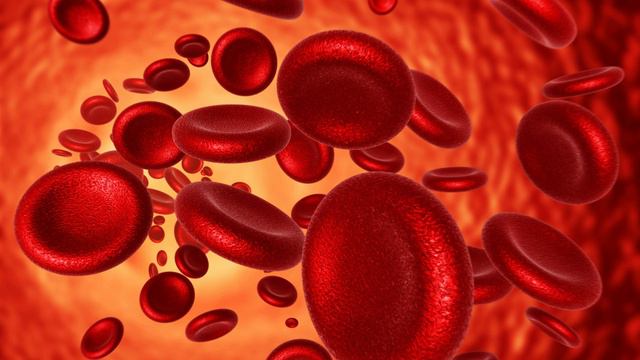 Скорая помощь Кроветворная система.