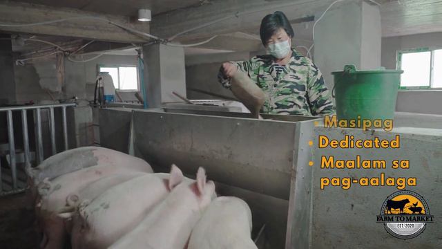 Hog Raising Business With Kono Salinas Ep 1 : How I Started смотреть онлайн