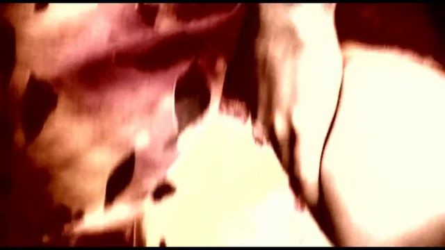 POVIA - E COSI' SEI NELL'ARIA (VIDEO UFFICIALE) смотреть онлайн