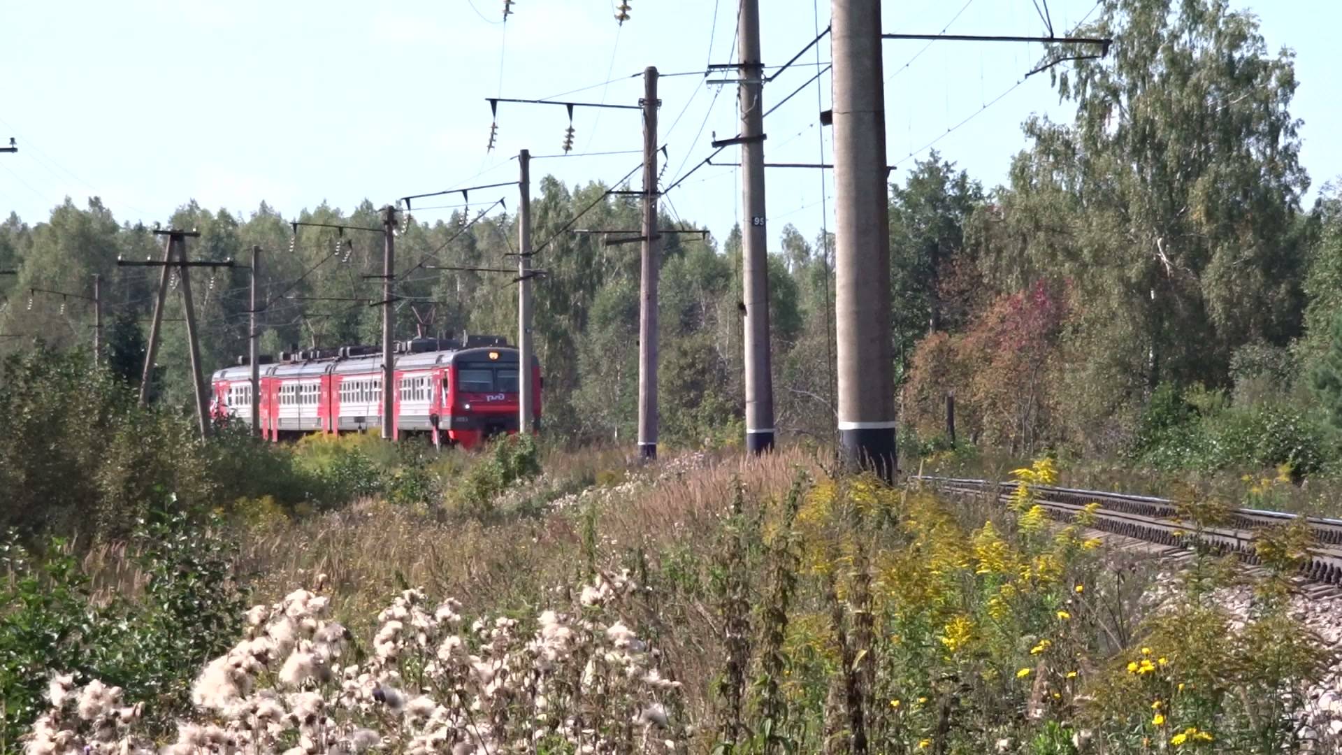 Электропоезд ЭД9Э-0041 сообщением Казань - Нижний Новгород заходит на станцию Зимёнки смотреть онлайн