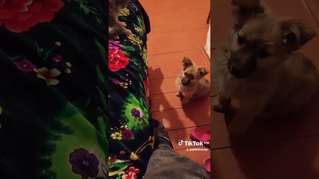 муха смотреть онлайн