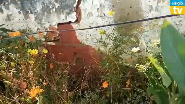 Colapso de cloacas y desborde de aguas negras en José Felix Ribas, смотреть онлайн