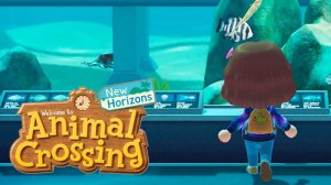 Animal Crossing ｜ День музя ｜ Прохождение №22