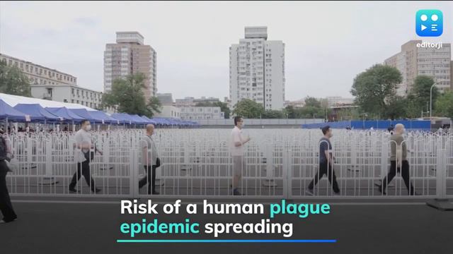 Chinese city sounds alert for bubonic plague смотреть онлайн