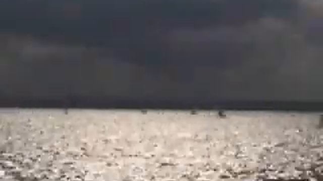 Fun Surf 2005 смотреть онлайн