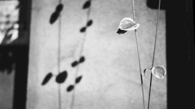 PHOTO смотреть онлайн