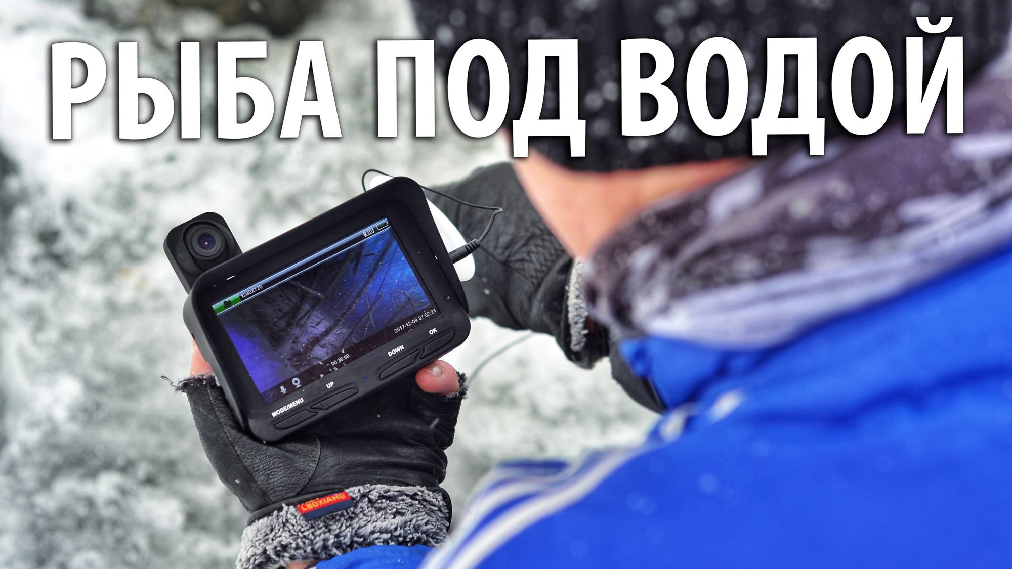 Поведение форели под водой. Как ведёт себя рыба зимой. смотреть онлайн