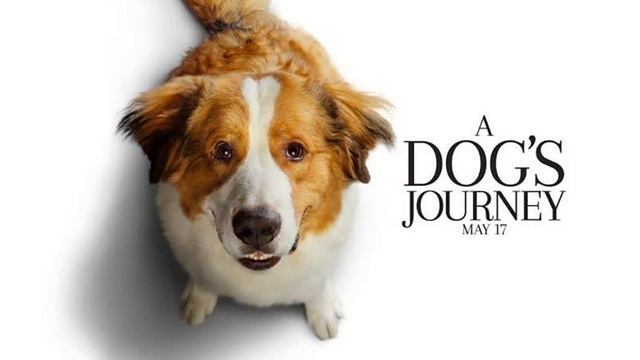 A Dog's Journey Movie Score Suite - Emily Bear & Mark Isham (2019) смотреть онлайн
