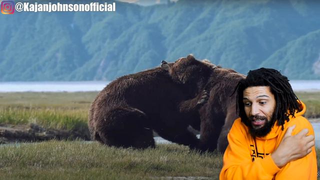 Bears Know GRAPPLING!? UFC Fighter Breaks down INSANE BEAR FIGHT!!! смотреть онлайн