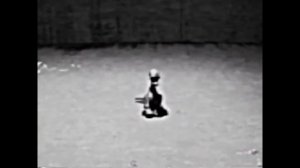 Ограниченный_восстановлением.mp4  RU  Перевод кассеты с Броном на русском