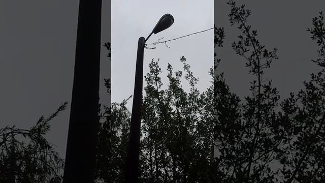 To Duke Energy Orlando Florida смотреть онлайн