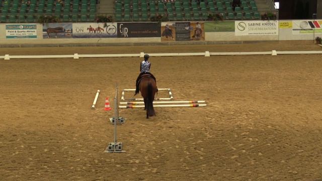 Nadja Liebig | Finale Jungpferde Trail 4 jährig | EWU German Open 2017 смотреть онлайн