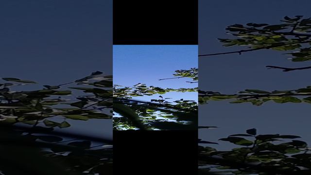 20240921_120818.mp4 смотреть онлайн
