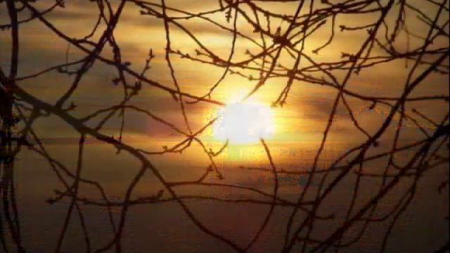 Miriam Stockley - Perfect Day смотреть онлайн