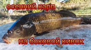 ОСЕННИЙ КАРП НА БОКОВОЙ КИВОК
