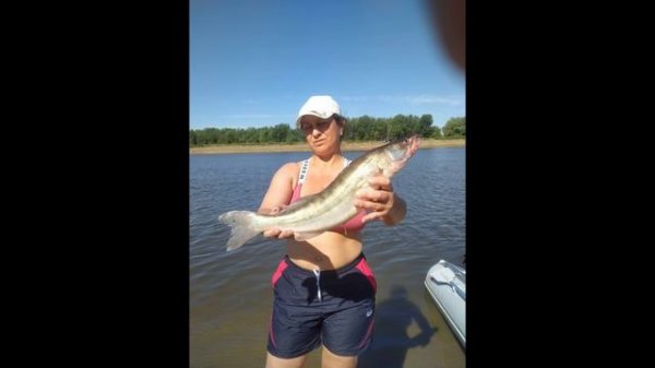 Лес и Рыба 2023 часть1