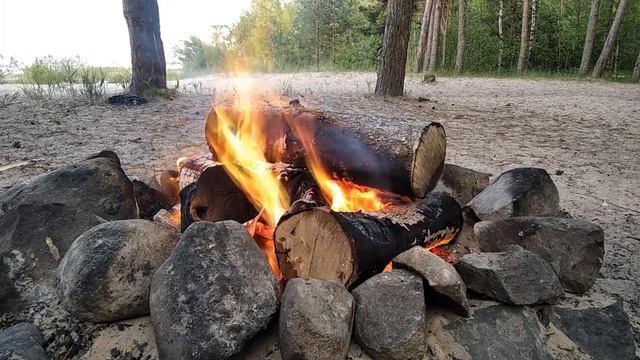 Костер под музыку "StarCraft" смотреть онлайн