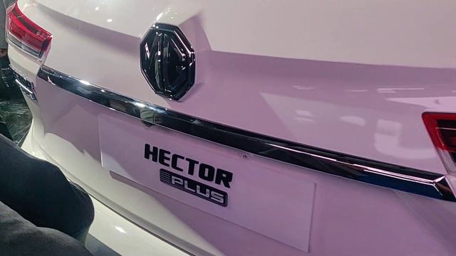 MG Hector Plus 6 & 7 Seater Walkaround | Auto Expo 2020 | Motoroids смотреть онлайн