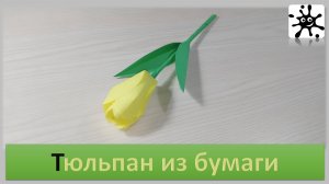 Тюльпан из бумаги. Тюльпан из бумаги оригами пошагово
