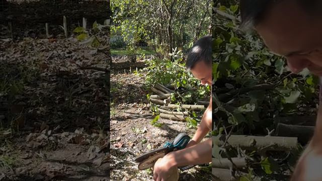 Отзыв 2 смотреть онлайн