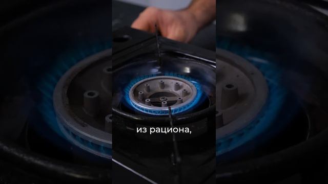 28 ноября 2023 г. смотреть онлайн