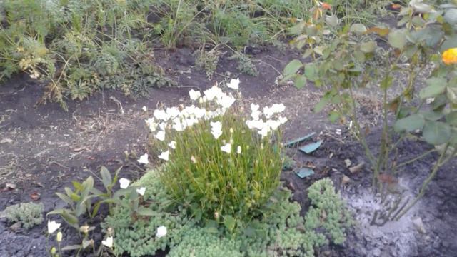 18 сентября 2023 г. смотреть онлайн