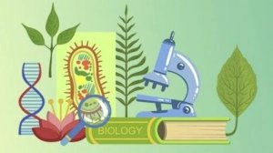 Биология 6 класс. Обмен веществ и энергии.--