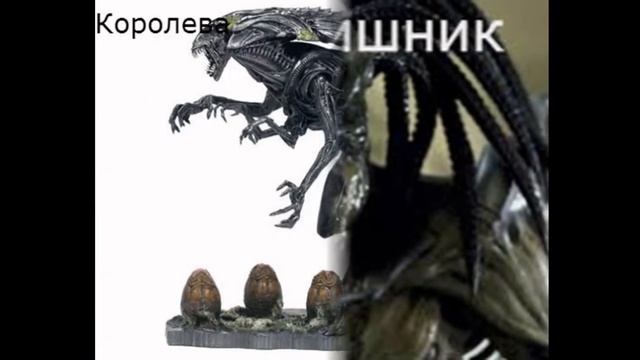 Виды чужих смотреть онлайн