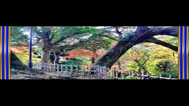 【歌】文学　その三 曽根崎心中　(　近松門左衛門　原文　) 高知 友子 смотреть онлайн