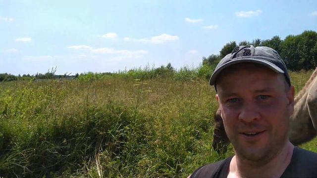 Верблюд в Поповке смотреть онлайн