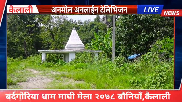bardagoriya dham maghi mela 2078 bauniya kailali nepal смотреть онлайн