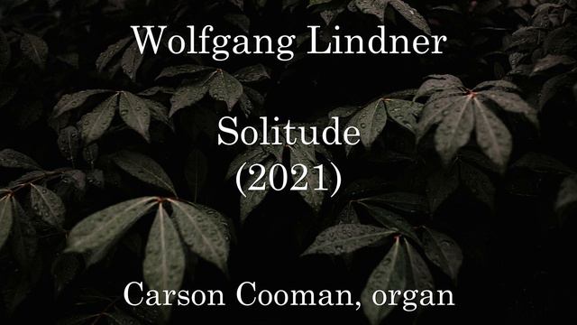 Wolfgang Lindner — Solitude (2021) for organ смотреть онлайн
