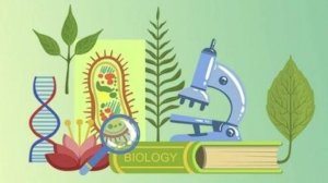 Биология 7 класс. Членистоногие.--