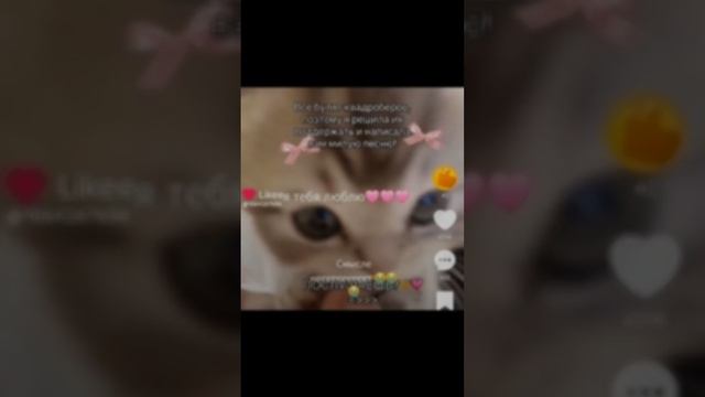 почему у нас роблоксе закроют в 2025 г. 😢 смотреть онлайн