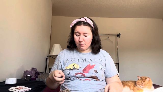The Hooligan Knitter: Episode Six