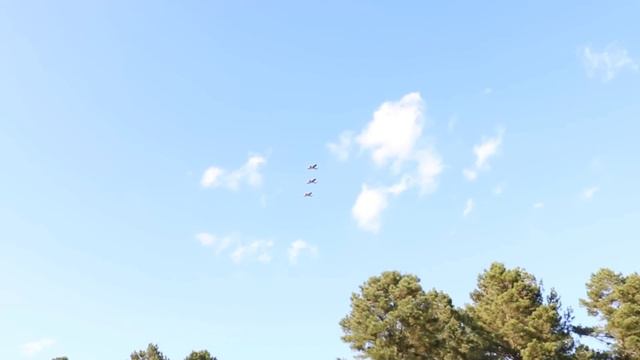 LeAnna Jeffery Morton Wedding смотреть онлайн