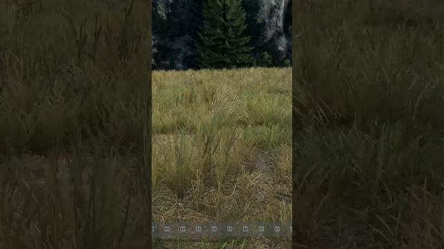 ИЗ ГРЯЗИ В КНЯЗИ!  Переобучение по стрельбе) #shorts #short