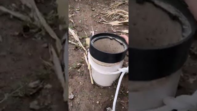 УЗЕЛ смотреть онлайн