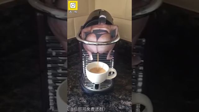 Уйятсыз кытай смотреть онлайн